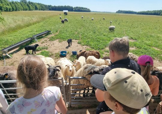 Skaistgirio VDC vaikų kelionė į Biržus