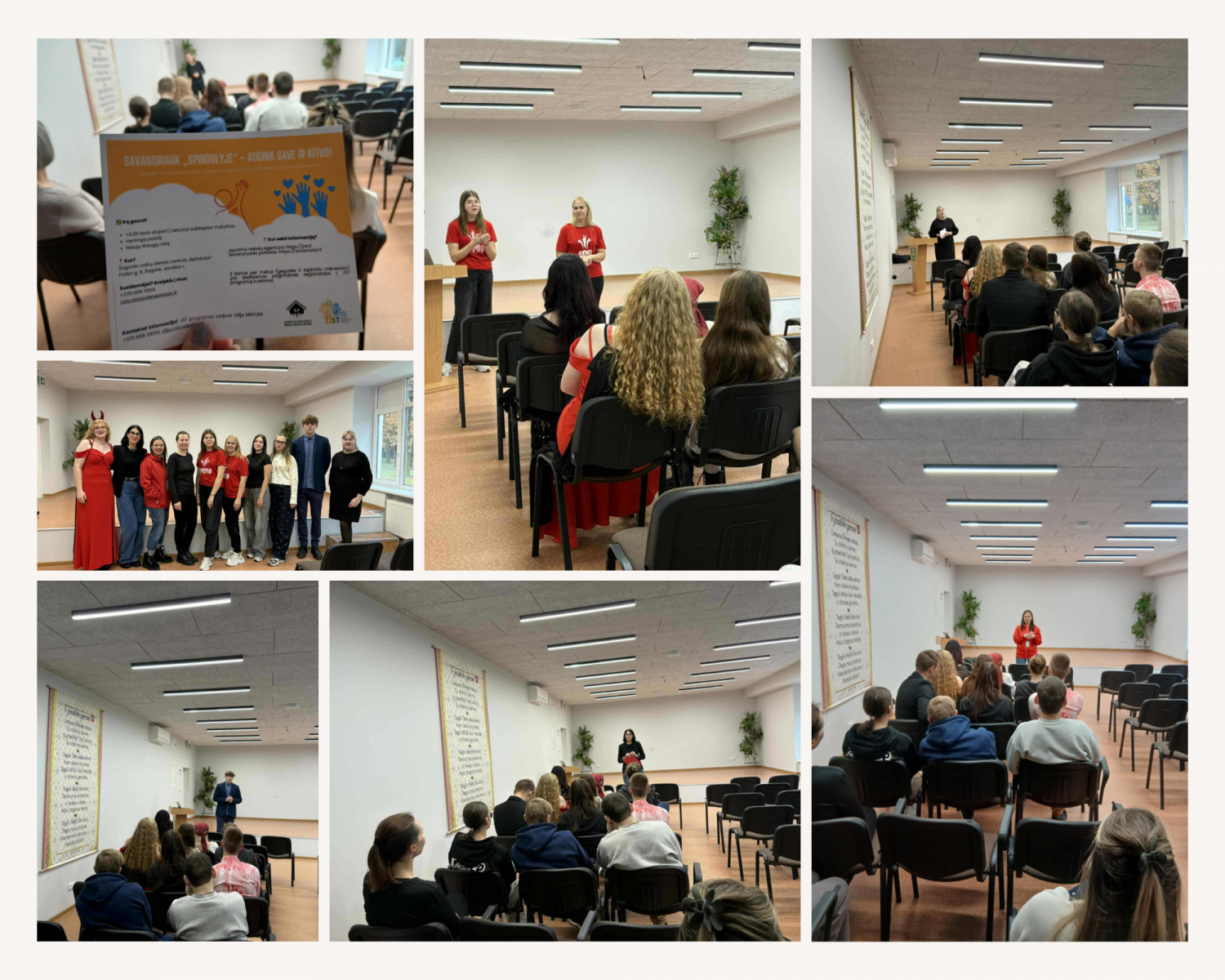 Jaunimo savanoriškos tarnybos pristatymas Skaistgirio gimnazijoje