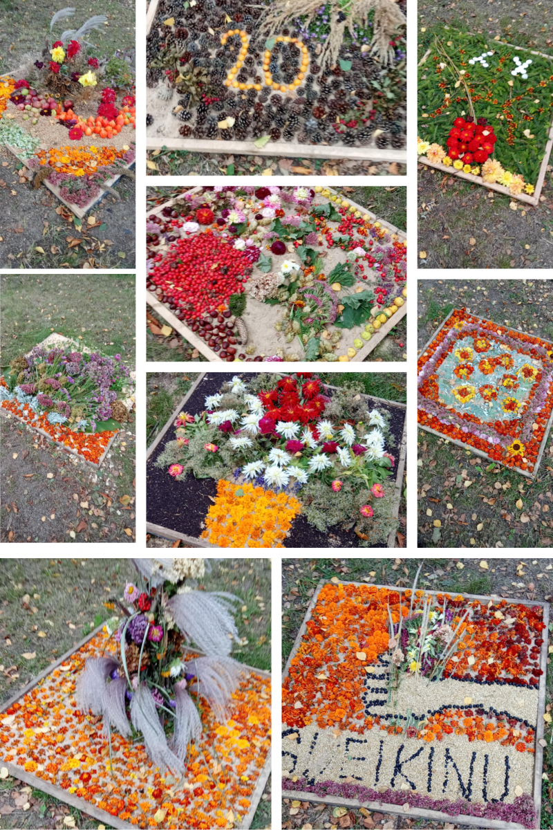 Floristinių kilimų konkurso akimirkos