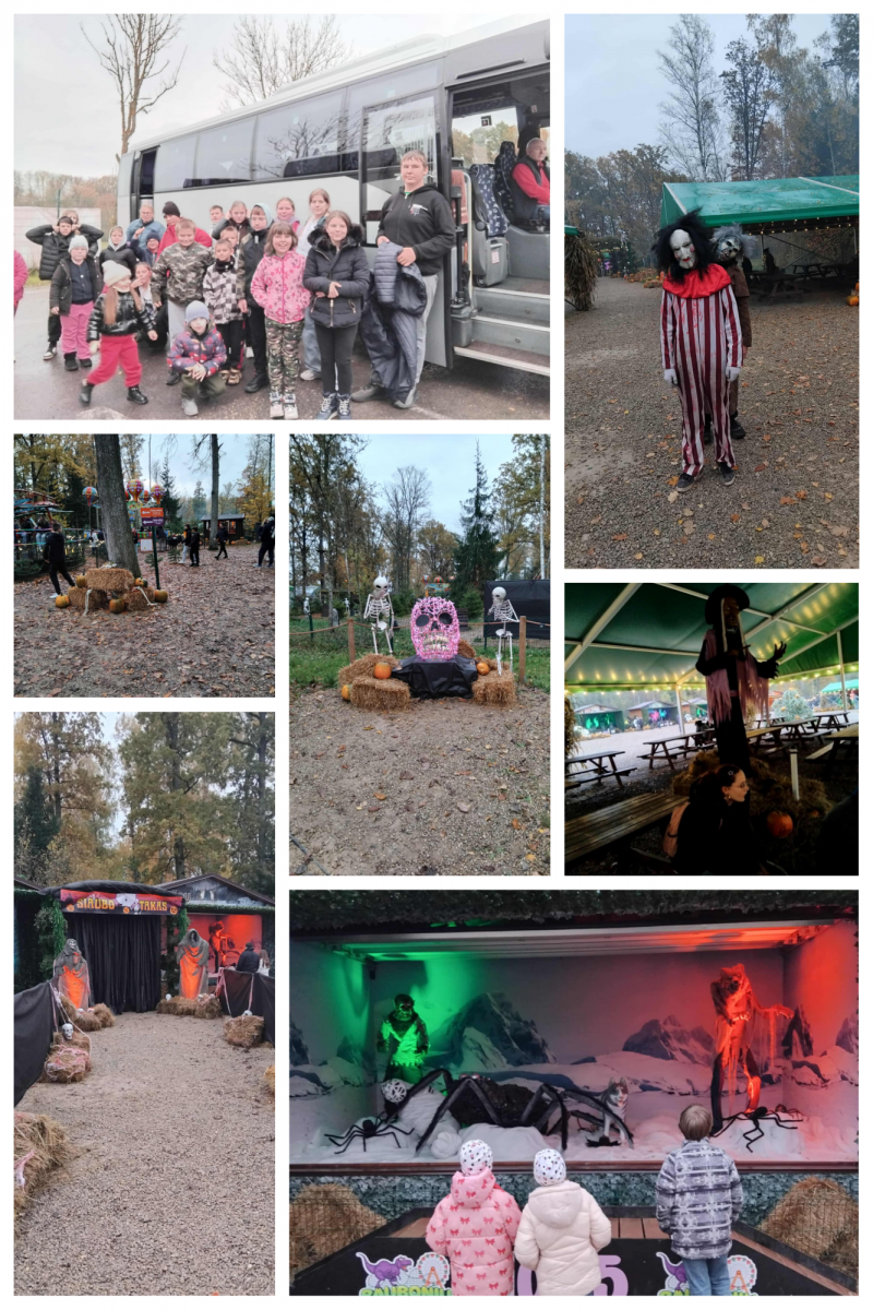 Kelionės į Raubonių parką akimirkos