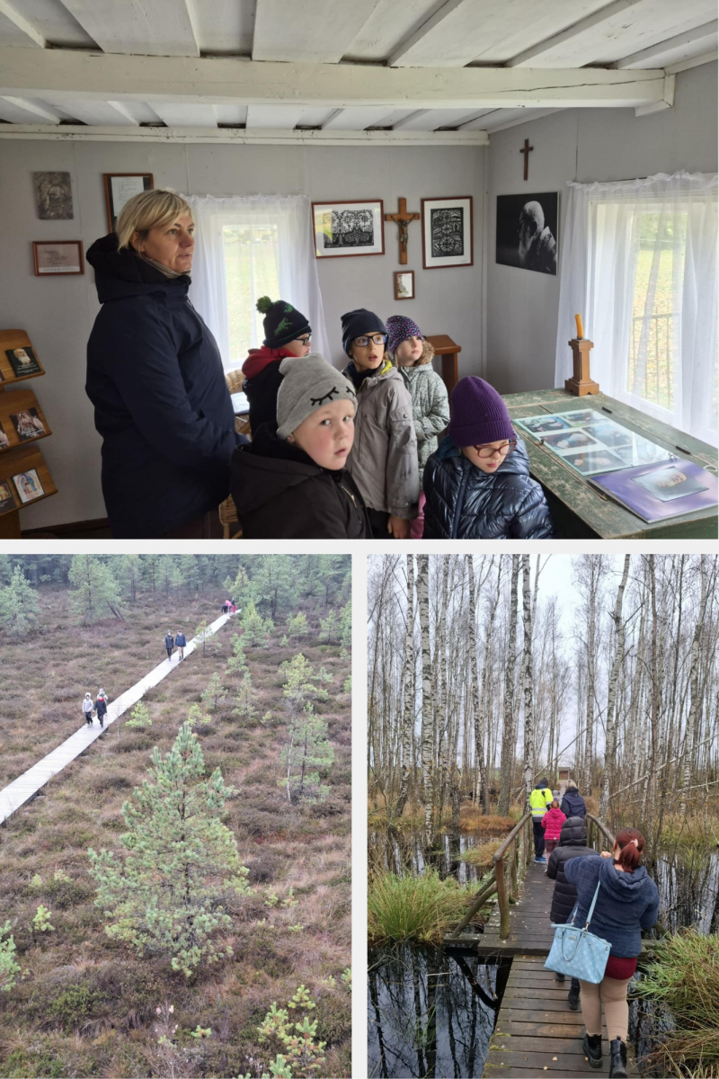 Pažintinė išvyka į Tyrelio pelkę